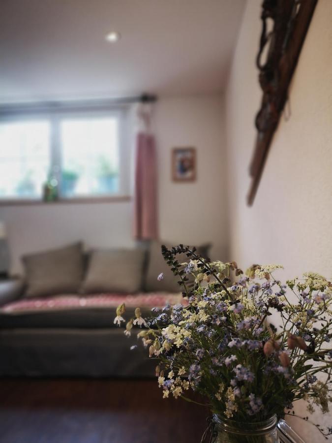Urchige 2-Zimmerwohnung Matten  Dış mekan fotoğraf